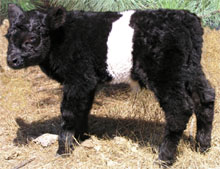 To Eli's photo page Eli