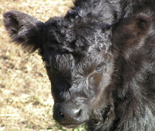 To Ewan's photo page Ewan