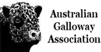 Australian Galloway Association AGA